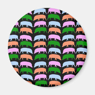 Multicolored Hogs Magnet