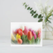 Multicolortulips Postkarte (Stehend Vorderseite)