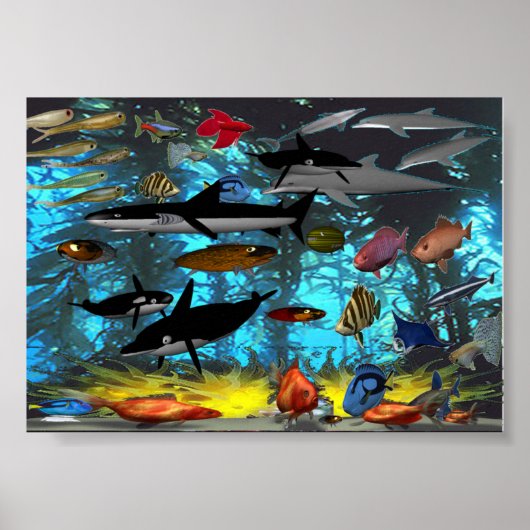 MULTIFISH POSTER (Vorne)