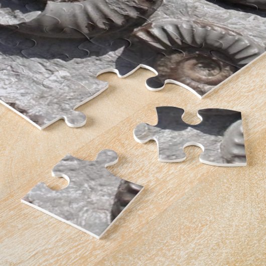 Multifossile Summen aus dem Unteren Meer Puzzle (Seite)