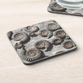 Multifossile Summen aus dem Unteren Meer Untersetzer (Linke Seite)