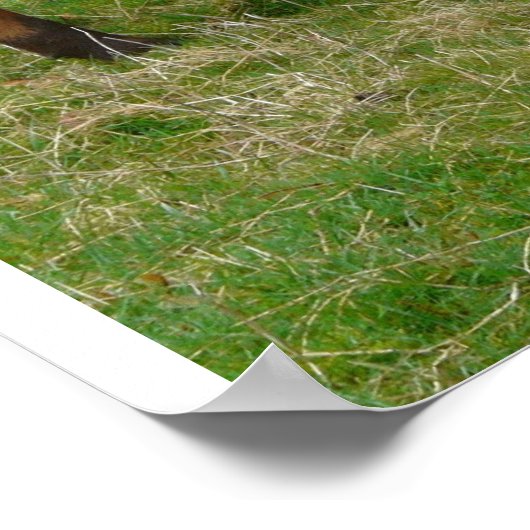 Multikulturell? Wir sind multikulturell! Poster (Ecke)