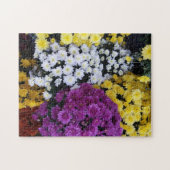 Multimedia Puzzle (Horizontal)