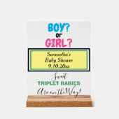 Multiples Baby Dusche Pink Blau Grün Acrylschild (Vorderseite)