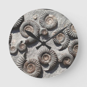 Multis fossile Gemische aus dem Unteren Meer Runde Wanduhr