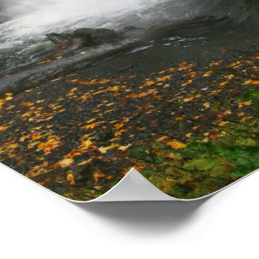 Multnomah Falls 2 Poster (Ecke)