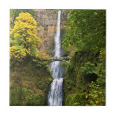Multnomah Falls, Columbia River Gorge, Oregon Fliese (Vorderseite)