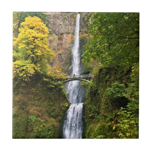Multnomah Falls, Columbia River Gorge, Oregon Fliese (Vorderseite)