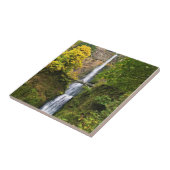 Multnomah Falls, Columbia River Gorge, Oregon Fliese (Seite)