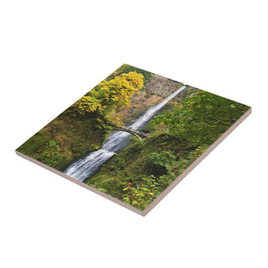 Multnomah Falls, Columbia River Gorge, Oregon Fliese (Seite)