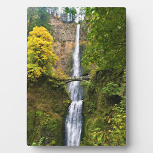 Multnomah Falls, Columbia River Gorge, Oregon Fotoplatte