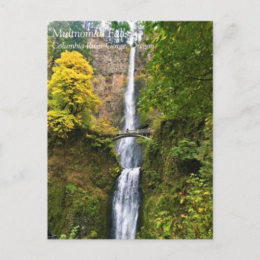 Multnomah Falls, Columbia River Gorge, Oregon Post Postkarte (Vorderseite)