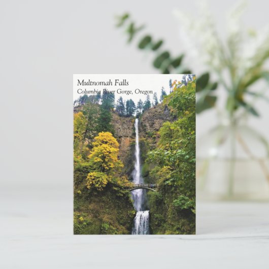 Multnomah Falls, Columbia River Gorge, Oregon Post Postkarte (Stehend Vorderseite)