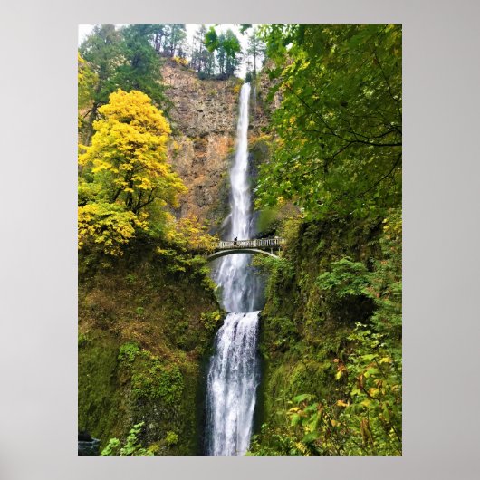 Multnomah Falls, Columbia River Gorge, Oregon Poster (Vorne)