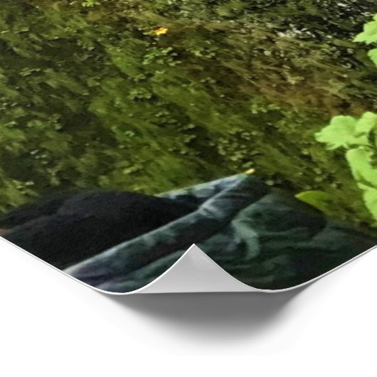 Multnomah Falls, Columbia River Gorge, Oregon Poster (Ecke)