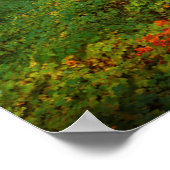 Multnomah Falls | Columbia River Gorge, Oregon Poster (Ecke)