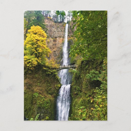 Multnomah Falls, Columbia River Gorge, Oregon Postkarte (Vorderseite)