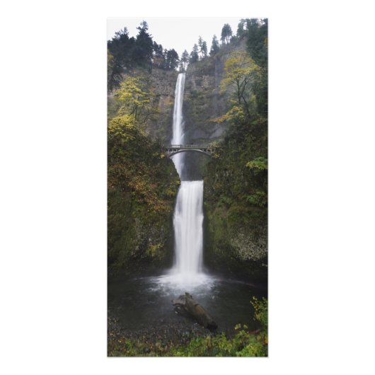 Multnomah Falls. Fotodruck (Vorne)