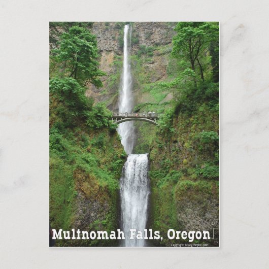 Multnomah Falls, OR Postkarte (Vorderseite)