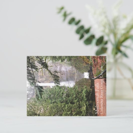 Multnomah Falls, Oregon Postkarte (Stehend Vorderseite)