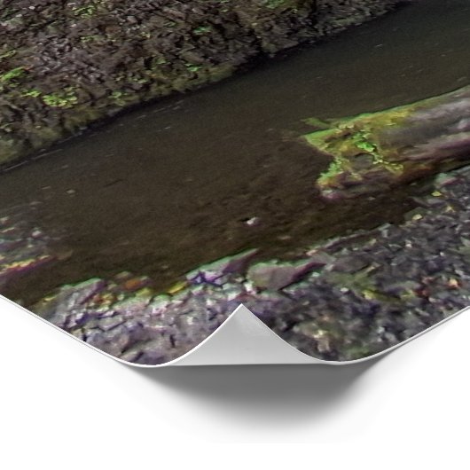 MULTNOMAH FALLS POSTER (Ecke)