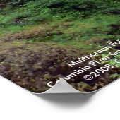 Multnomah Falls Poster (Ecke)