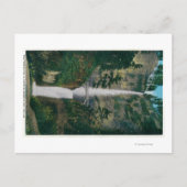 Multnomah Falls und Benson Foot Bridge 2 Postkarte (Vorderseite)