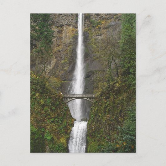 Multnomah Falls und Benson Footbridge Postcard Postkarte (Vorderseite)