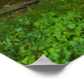 Multnomah Falls Waterfall Foto Print Poster (Ecke)