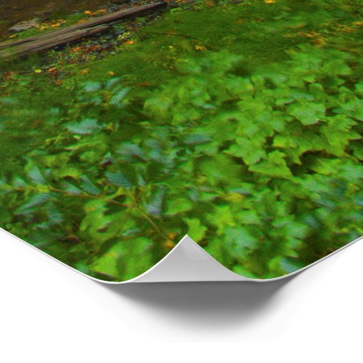 Multnomah Falls Waterfall Foto Print Poster (Ecke)