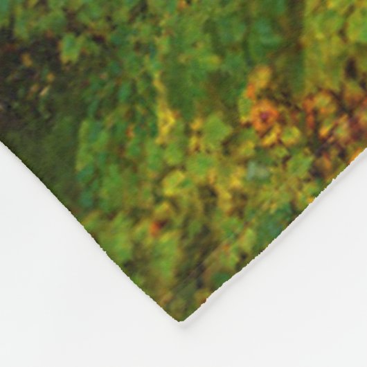 Multnomah fällt | Columbia River Schlucht, Oregon Fleecedecke (Ecke)