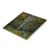 Multnomah fällt | Columbia River Schlucht, Oregon Fliese (Seite)