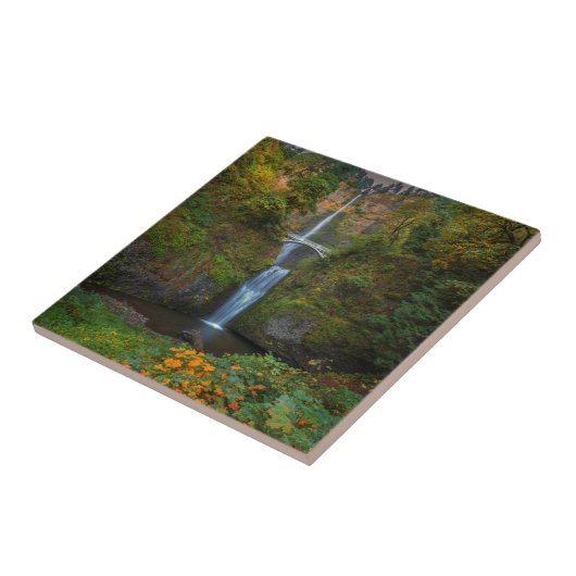 Multnomah fällt | Columbia River Schlucht, Oregon Fliese (Seite)