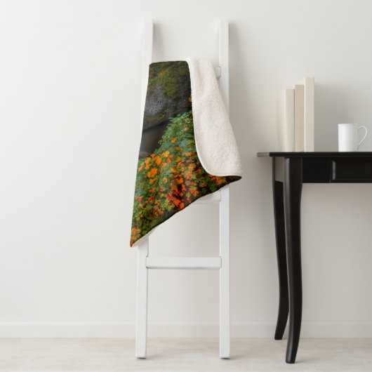 Multnomah fällt | Columbia River Schlucht, Oregon Sherpadecke (Beispiel)