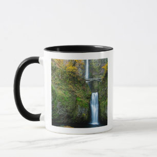 Multnomah fällt im Herbst in der Columbia-Schluch Tasse