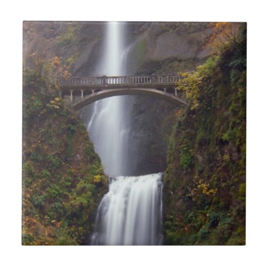 Multnomah fällt in Spätherbst Fliese (Vorderseite)