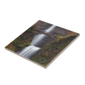 Multnomah fällt in Spätherbst Fliese (Seite)