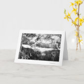 Multnomah fällt PhotographColumbia Fluss ODER Karte (Gelbe Blume)