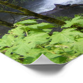 Multnomah Waterfall Poster (Ecke)