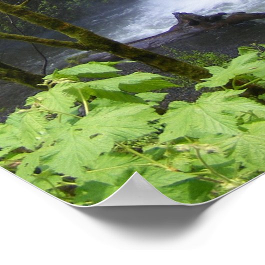 Multnomah Waterfall Poster (Ecke)