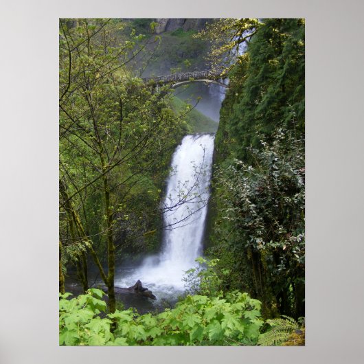 Multnomah Waterfall Poster (Vorne)