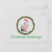 Muluccan Cockatoo Santa Feiertagspostkarte (Rückseite)