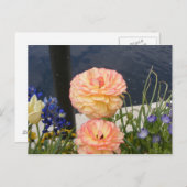 MUM-BLUME POSTKARTE (Vorne/Hinten)