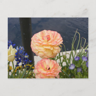 MUM-BLUME POSTKARTE