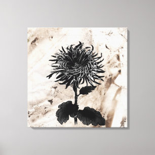 Mum Grandiflora Schwarz Leinwanddruck