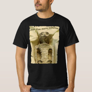 Mummie vom Weltraum Funny NASA UFO Mystery T-Shirt