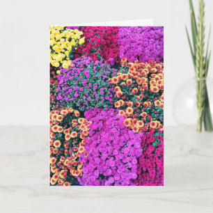 Mummy Dearest Greeting Card Karte