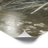 Mummy Guinea Pig Fotodruck (Ecke)