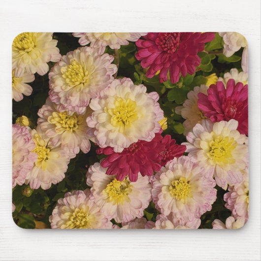Mums mousepad (Vorne)