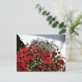 Mums Shadows Postkarte (Stehend Vorderseite)